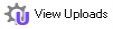 ViewUploadsbut